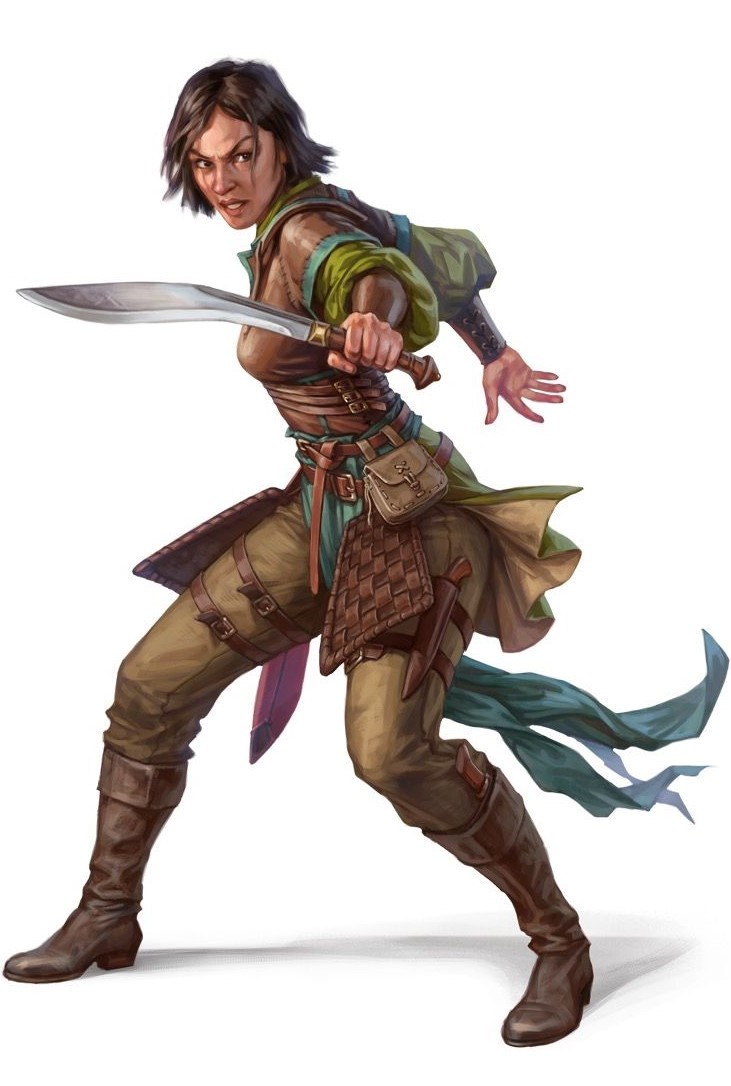 pathfinder rogue pathfinder rogue