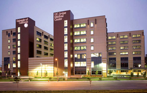 Ucimc rendering