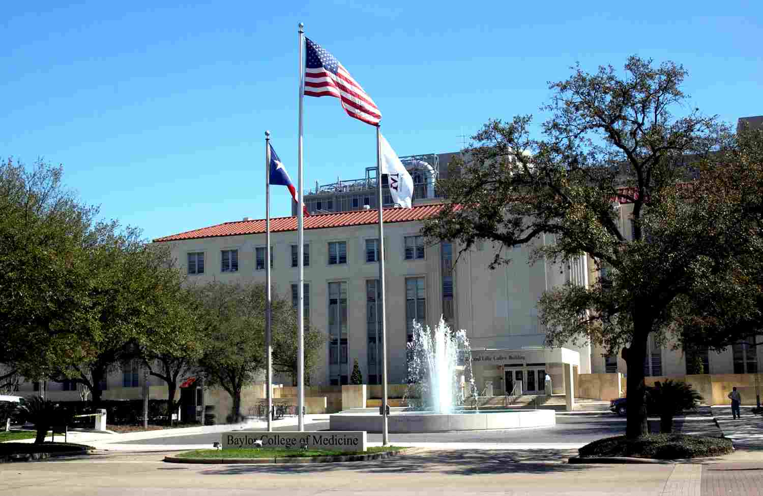 baylor college of medicine program houston pathology resident baylor letter of recommendation