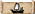 Scroll cog