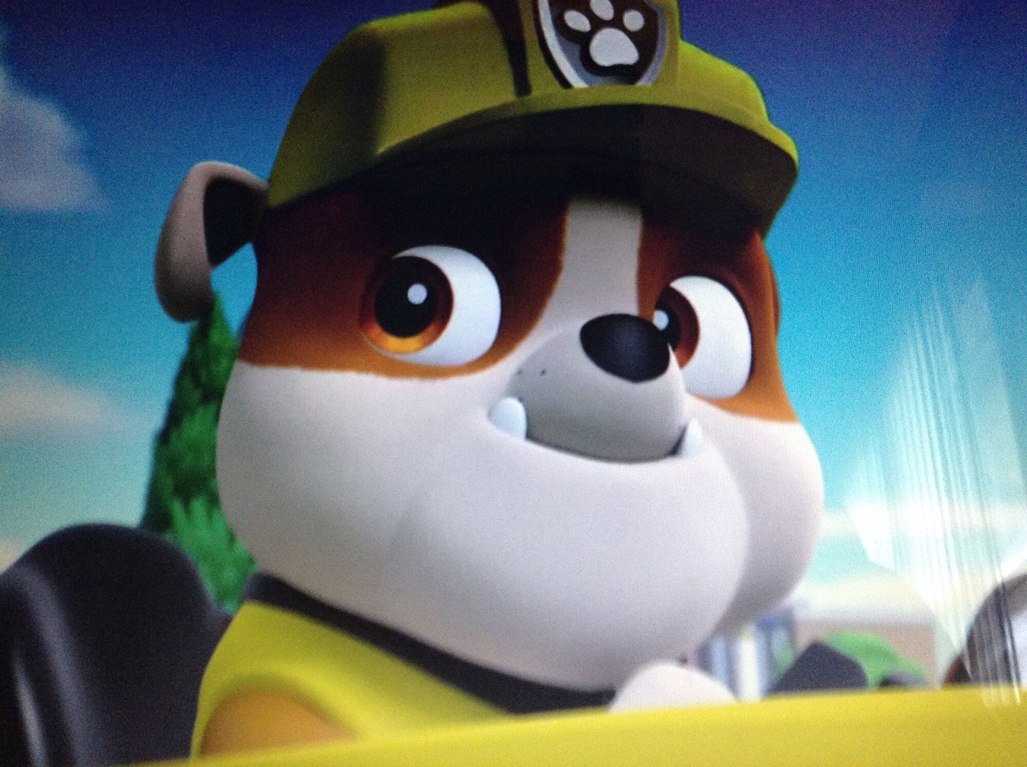Rubble/Gallery Paw Patrol Cast Wiki Fandom