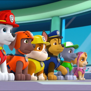 Chase S Gallery Pups Save The Carnival Paw Patrol Cast Wiki Fandom