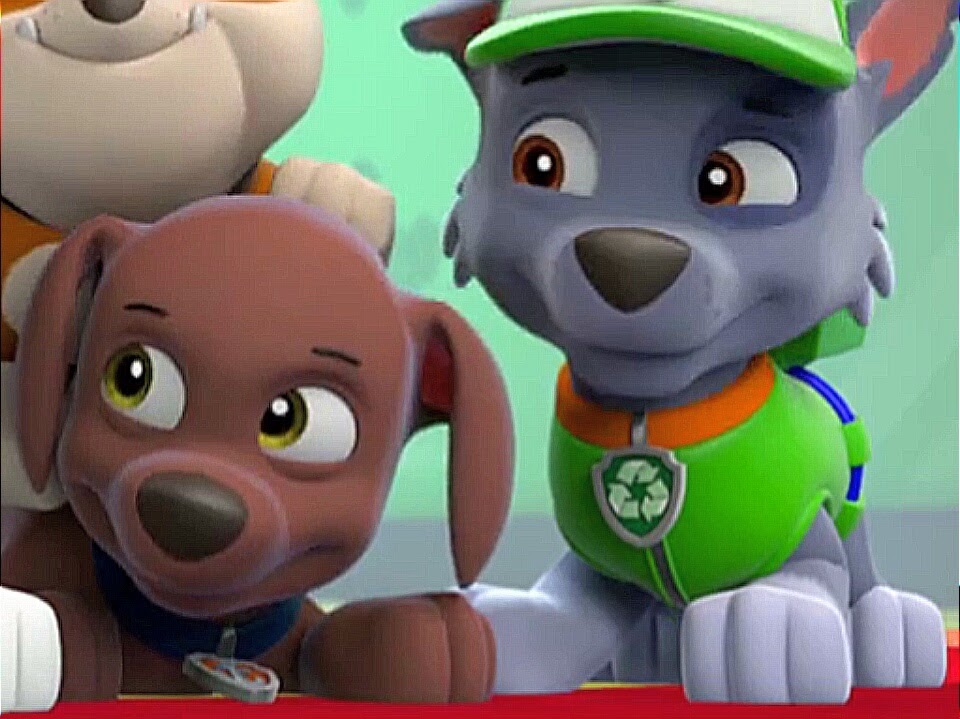 big zuma paw patrol