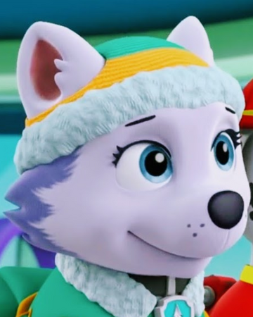 buy everest paw patrol