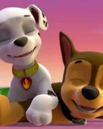 Chase & Marshall | PAW Patrol Fan Universe Wiki | Fandom