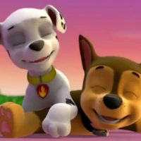 paw patrol chase and marshall