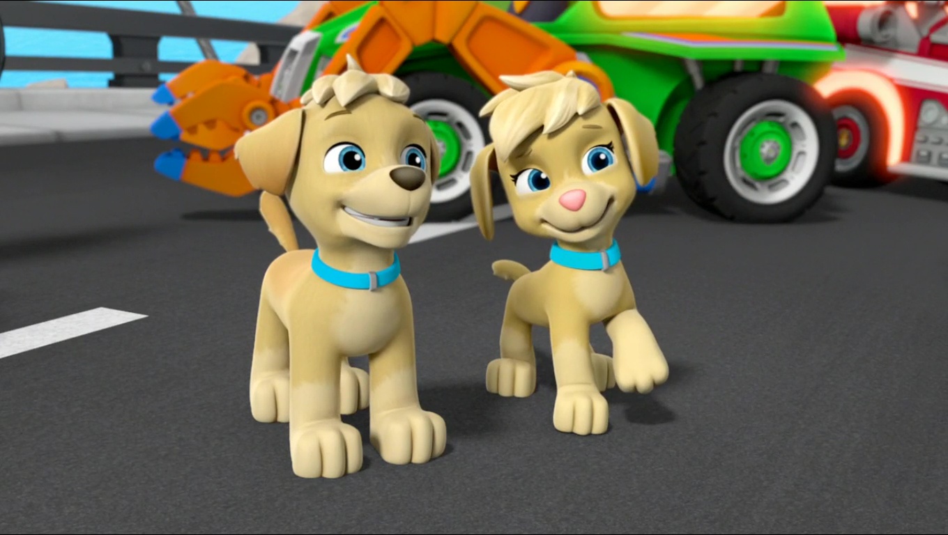Tuck &amp; Ella, The Golden Retriever Twins PAW Patrol Fan
