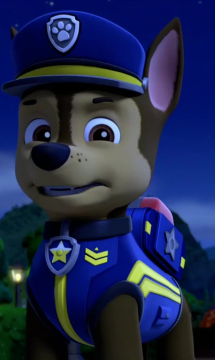 Сняты патруль. Щенячий патруль Чейз. Paw Patrol гонщик. Щенячий патруль: Суперпатруль 2. Чейз Щенячий патруль Чейз.