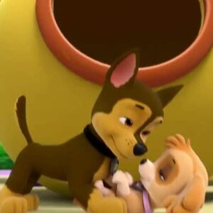 Chase X Skye Paw Patrol Fan Universe Wiki Fandom