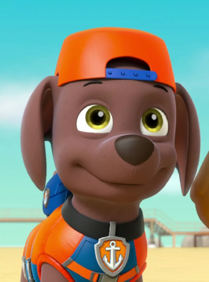 big zuma paw patrol