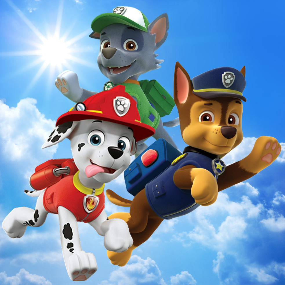 marshall and rocky paw patrol