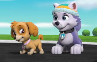 Everest & Skye | PAW Patrol Fan Universe Wiki | Fandom