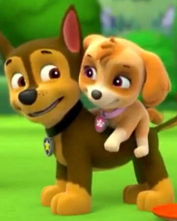 paw patrol walking singing dog