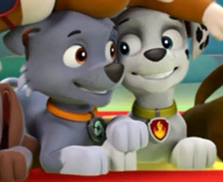 marshall and rocky paw patrol