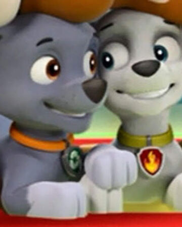 Marshall Rocky Paw Patrol Fan Universe Wiki Fandom