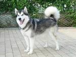 Images-39