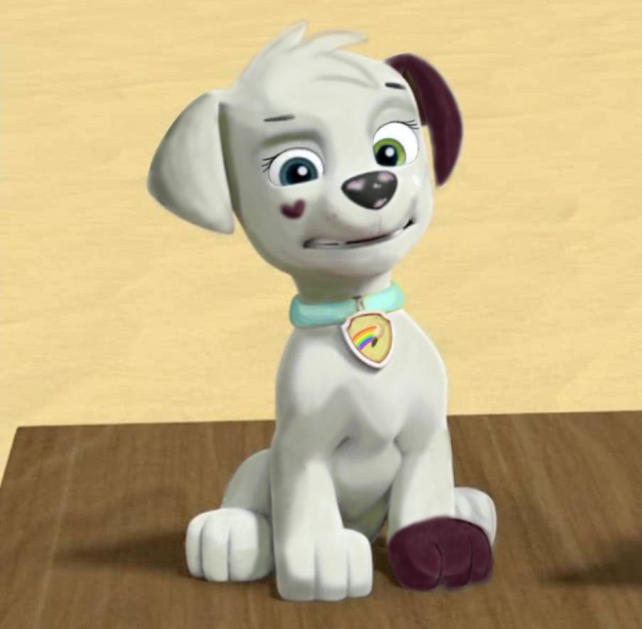 paw patrol pup power