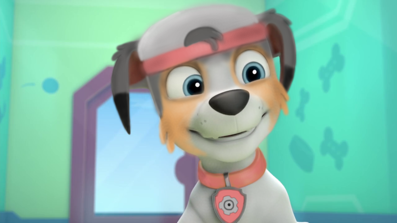 Image - Collin screenshot.png | PAW Patrol Fanon Wiki | FANDOM powered ...