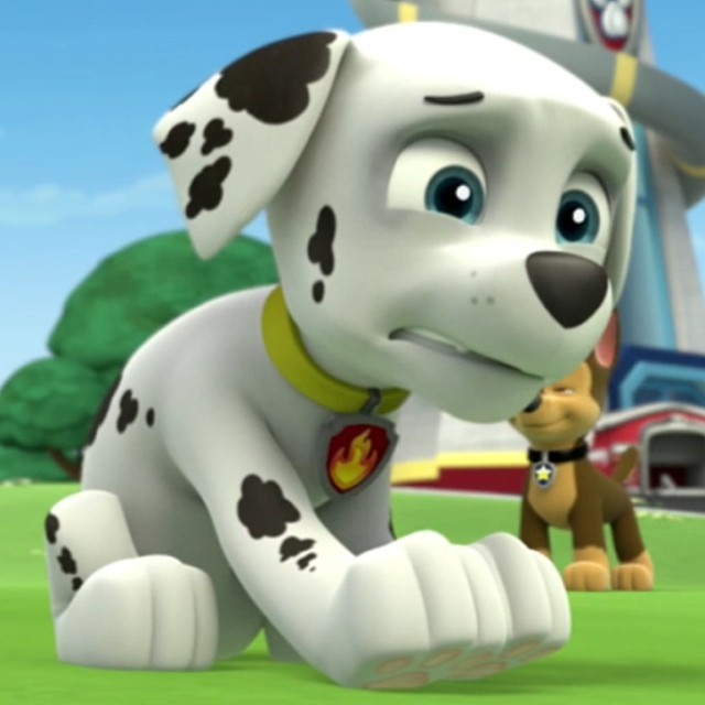 paw patrol marshall teddy bear