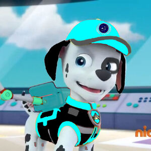 paw patrol doctor kit