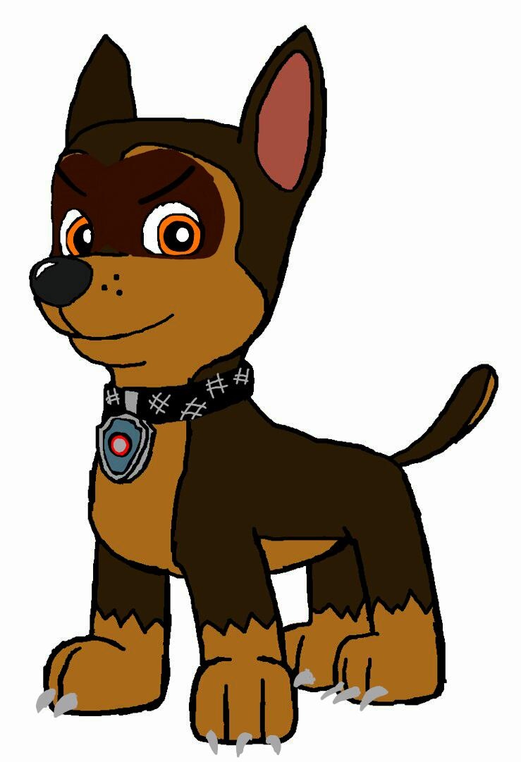 Swift | PAW Patrol Fanon Wiki | Fandom