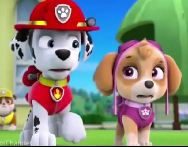 Image - Marshall skye 16.JPG | PAW Patrol Fanon Wiki | FANDOM powered ...