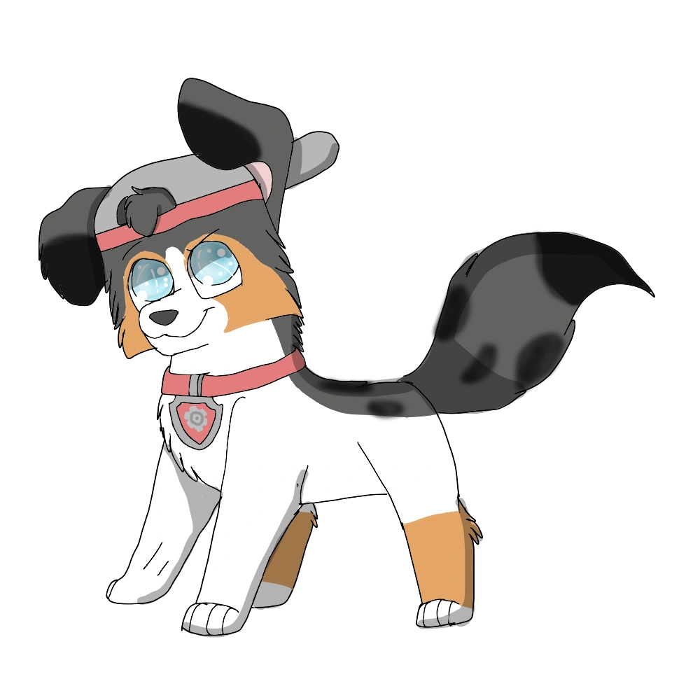 Collin PAW Patrol Fanon Wiki FANDOM powered by Wikia