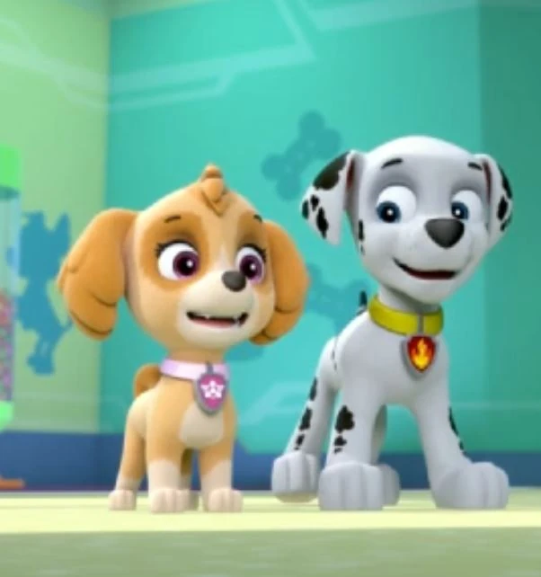 Image Marshall skye 02.JPG PAW Patrol Fanon Wiki FANDOM powered