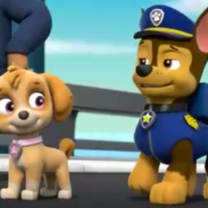 Chase And Skye Wedding Paw Patrol Love Stories Wikia Fandom
