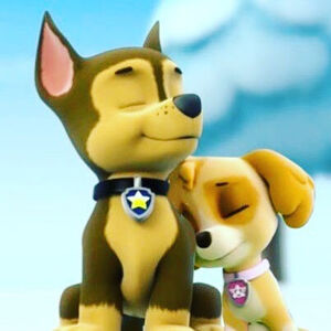 Chase X Skye Paw Patrol Love Stories Wikia Fandom