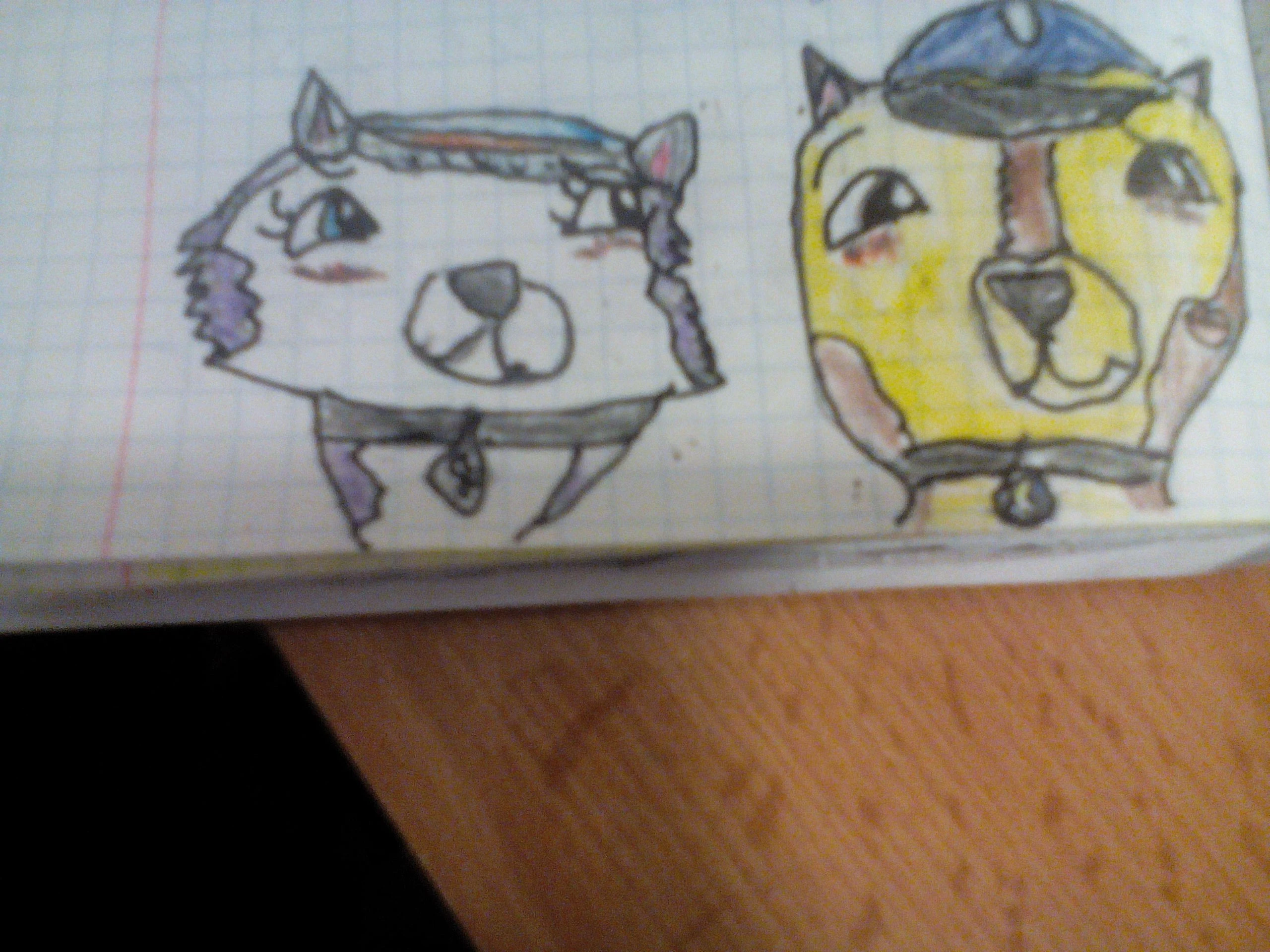 Chase x Everest Paw Patrol love stories Wikia Fandom