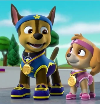 paw patrol skye y chase