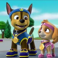 sky chase paw patrol
