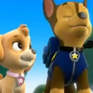 Chase X Skye Paw Patrol Love Stories Wikia Fandom