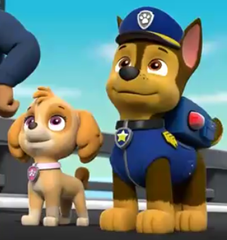Chase X Skye Paw Patrol Love Stories Wikia Fandom