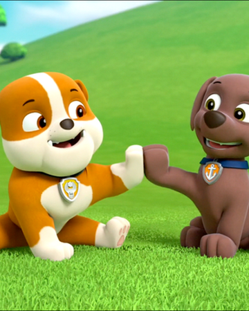 Zuma Rubble Paw Patrol Relation Ship Wiki Fandom