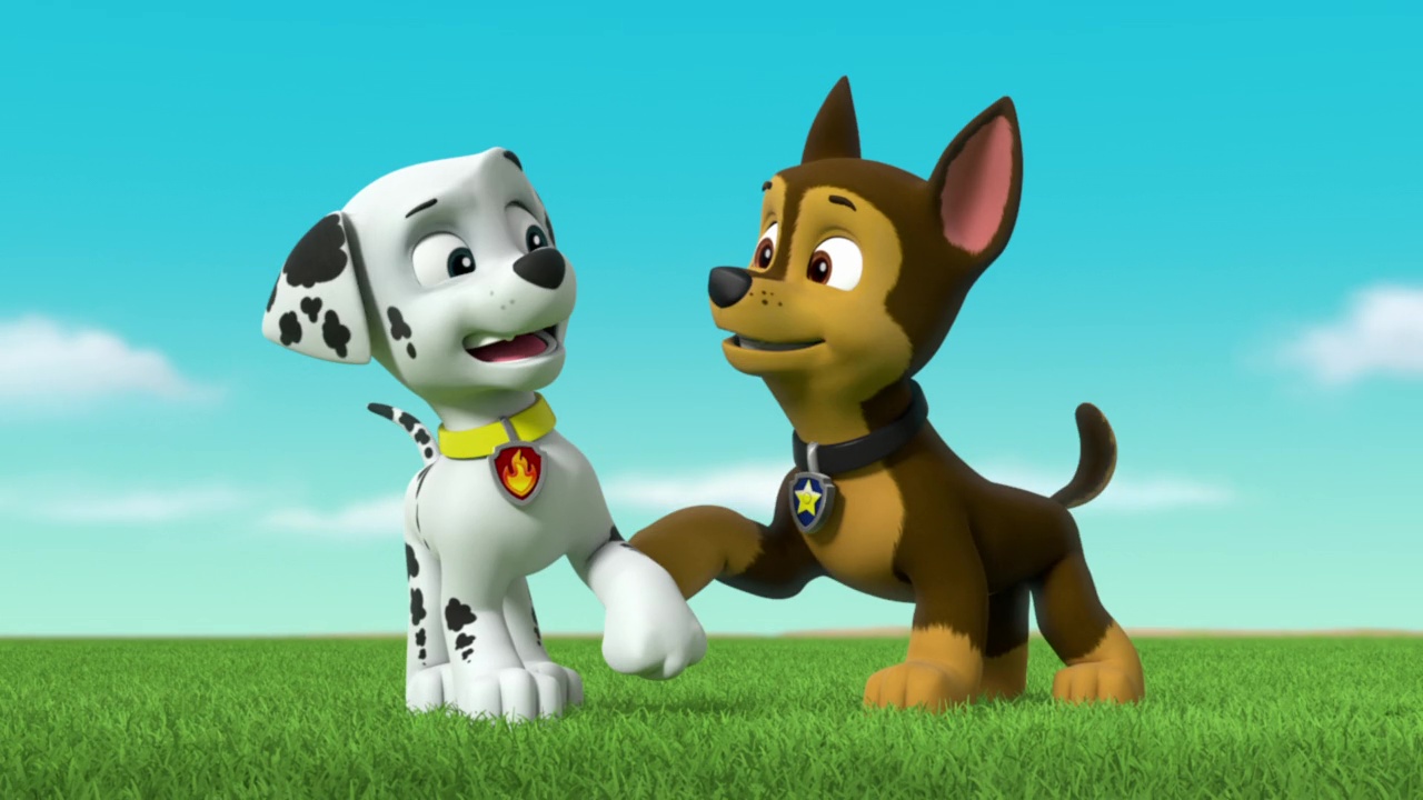 Marshall And Chase Paw Patrol Relation Ship Wiki Fandom 