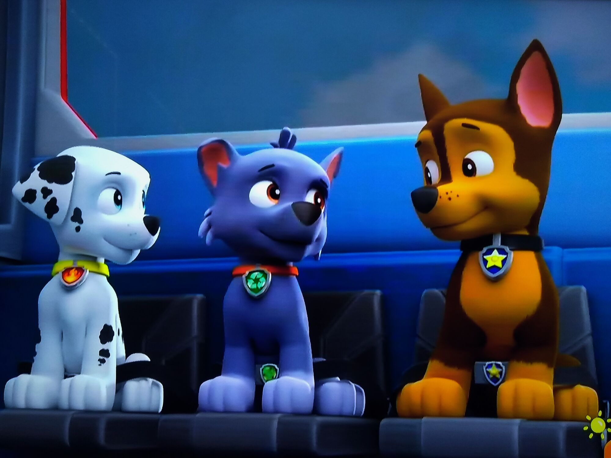 Rocky Marshall And Chase Paw Patrol Relation Ship Wiki Fandom 