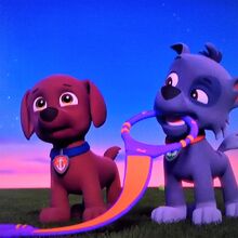 Rocky Zuma Paw Patrol Relation Ship Wiki Fandom
