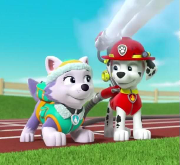 Marshall X Everest Paw Patrol Relation Ship Wiki Fandom