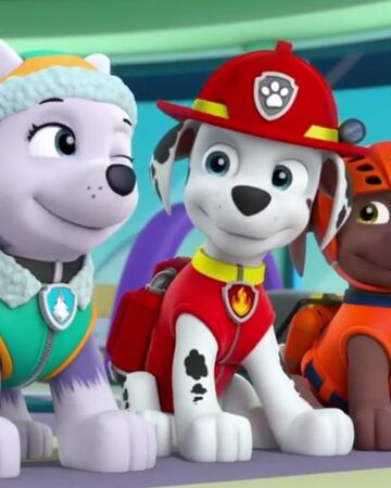 paw patrol everest