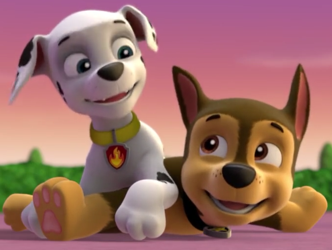 Marshall And Chase Paw Patrol Relation Ship Wiki Fandom Powered By Wikia 