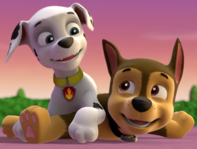 Marshall And Chase Paw Patrol Relation Ship Wiki Fandom Powered By Wikia 4771