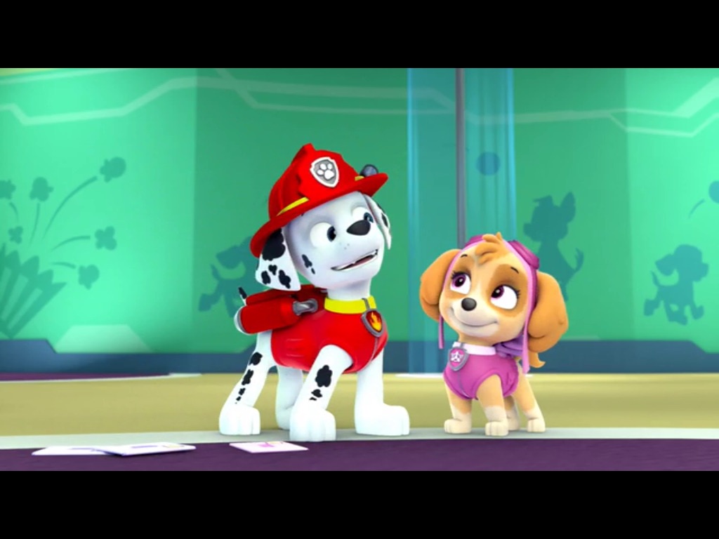 marshall and paw patrol