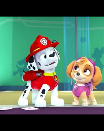Marshall X Skye Paw Patrol Relation Ship Wiki Fandom