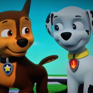 Marshall Chase Paw Patrol Relation Ship Wiki Fandom