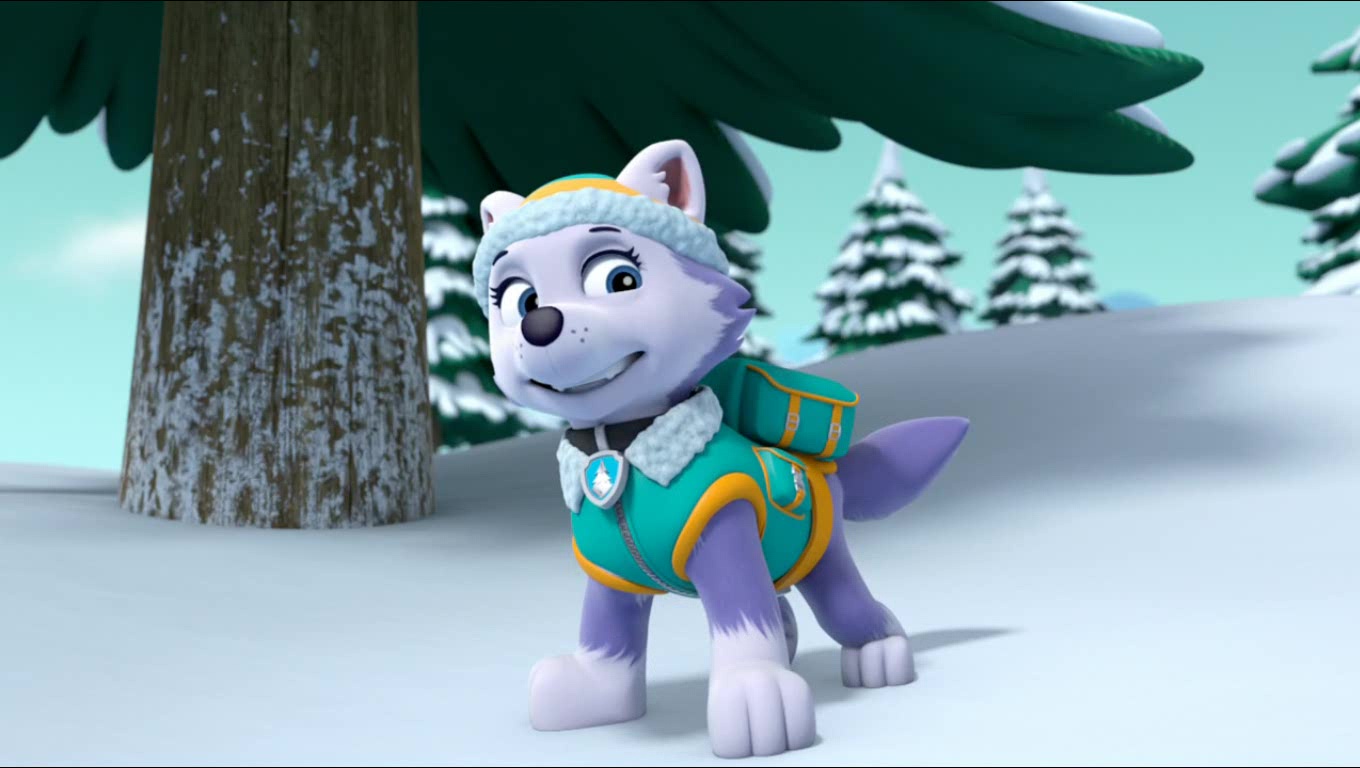 everest paw patrol. everest paw patrol.