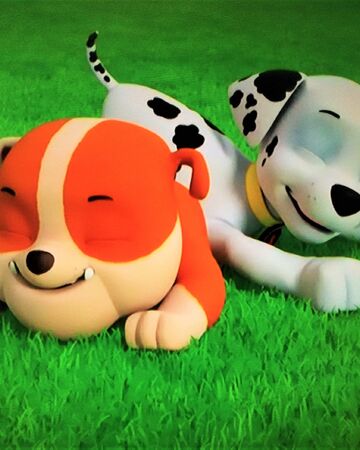 Marshall Rubble Paw Patrol Relation Ship Wiki Fandom