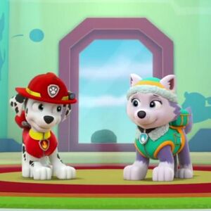 Marshall X Everest Paw Patrol Relation Ship Wiki Fandom