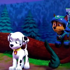 Marshall Chase Paw Patrol Relation Ship Wiki Fandom